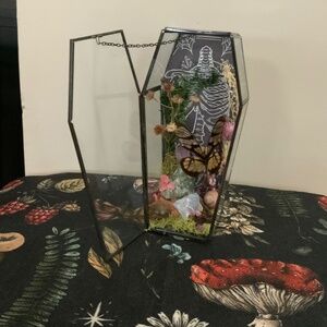 Glass coffin butterfly crystal nature display oddity
